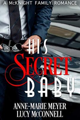 Hooked By That Book: His Secret Baby by Anne-Marie Meyer & Lucy McConnell