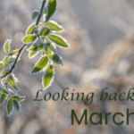 Looking Back On March on Hooked By That Book