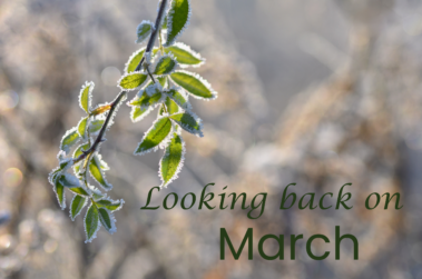 Looking Back On March on Hooked By That Book