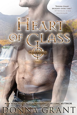Heart of Glass by Donna Grant on Hooked By That Book