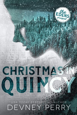 Christmas in Quincy by Devney Perry on Hooked By That Book