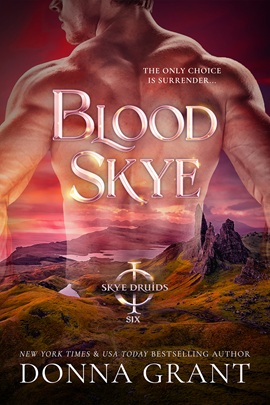 Blood Skye by Donna Grant on Hooked By That Book