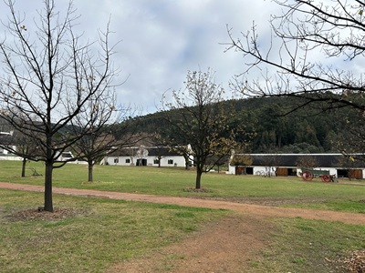 2025 Vacation Babylonstoren