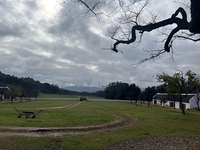 2025 Vacation Babylonstoren