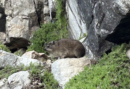 2025 Vacation Hermanus