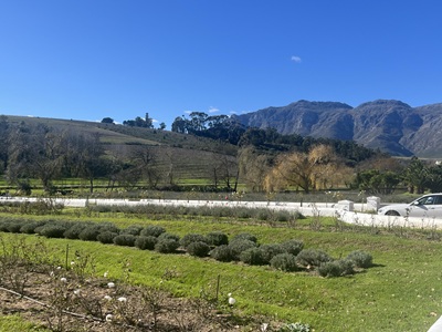 2025 Vacation Stellenbosch
