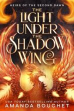 The Light Under the Shadow Wing by Amanda Bouchet on Hooked By That Book