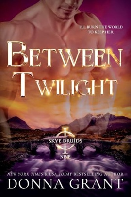 Between Twilight by Donna Grant on Hooked By That Book